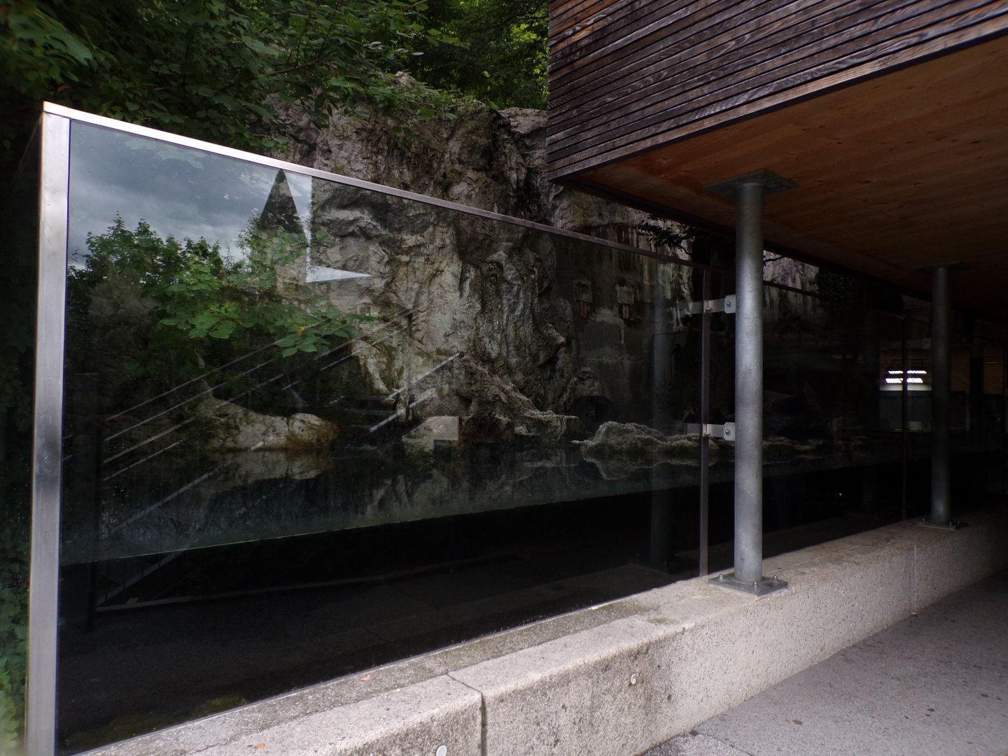 Eurasian otter enclosure 9.7.25