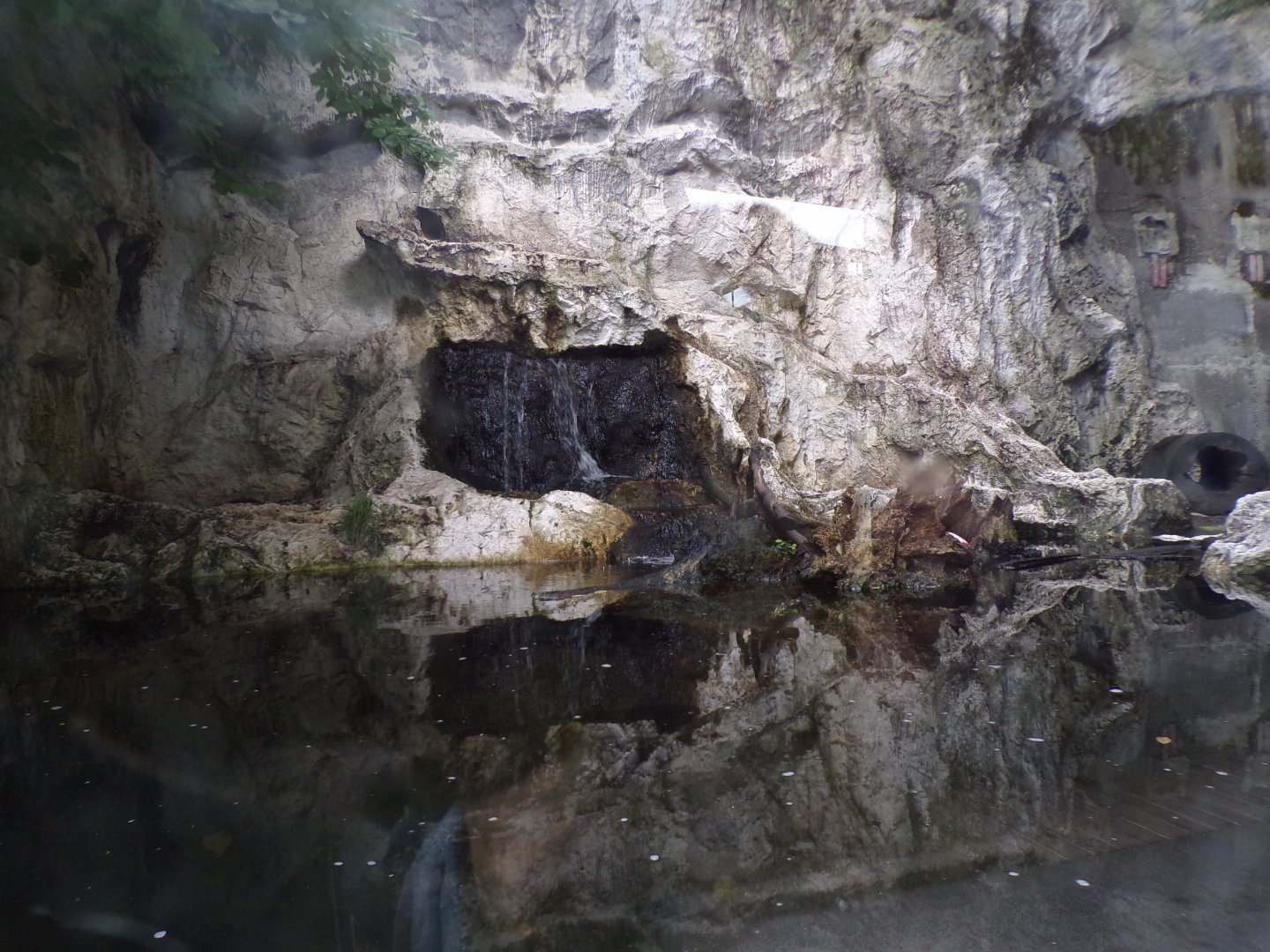 Eurasian otter enclosure 9.7.25