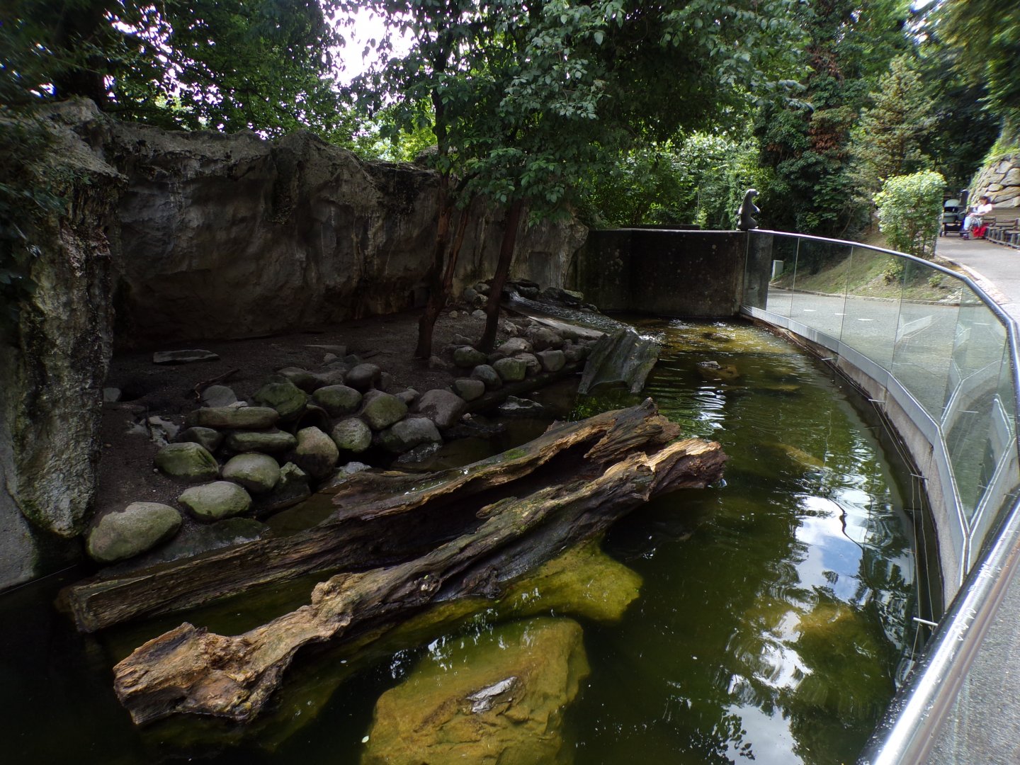Eurasian otter enclosure (is this connected to the other enclosure?) 9.7.25