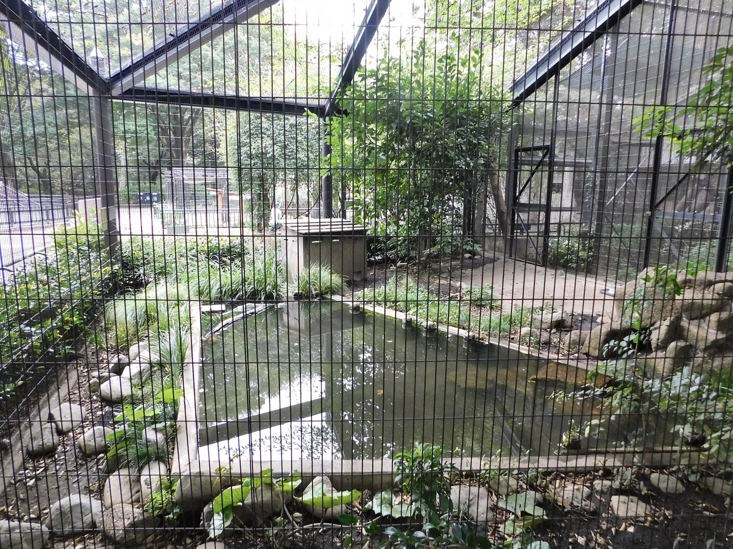 Eurasian Otter Enclosure October 4, 2025