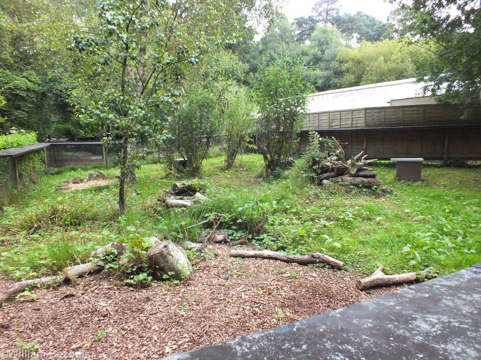 Eurasian Otter Enclosure