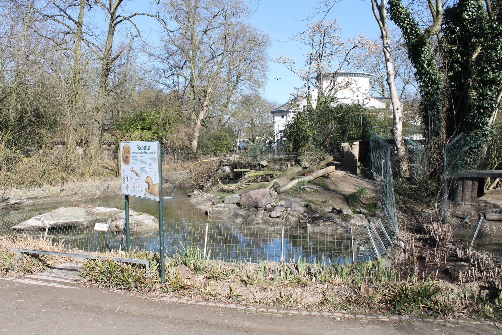 Eurasian otter-enclosure