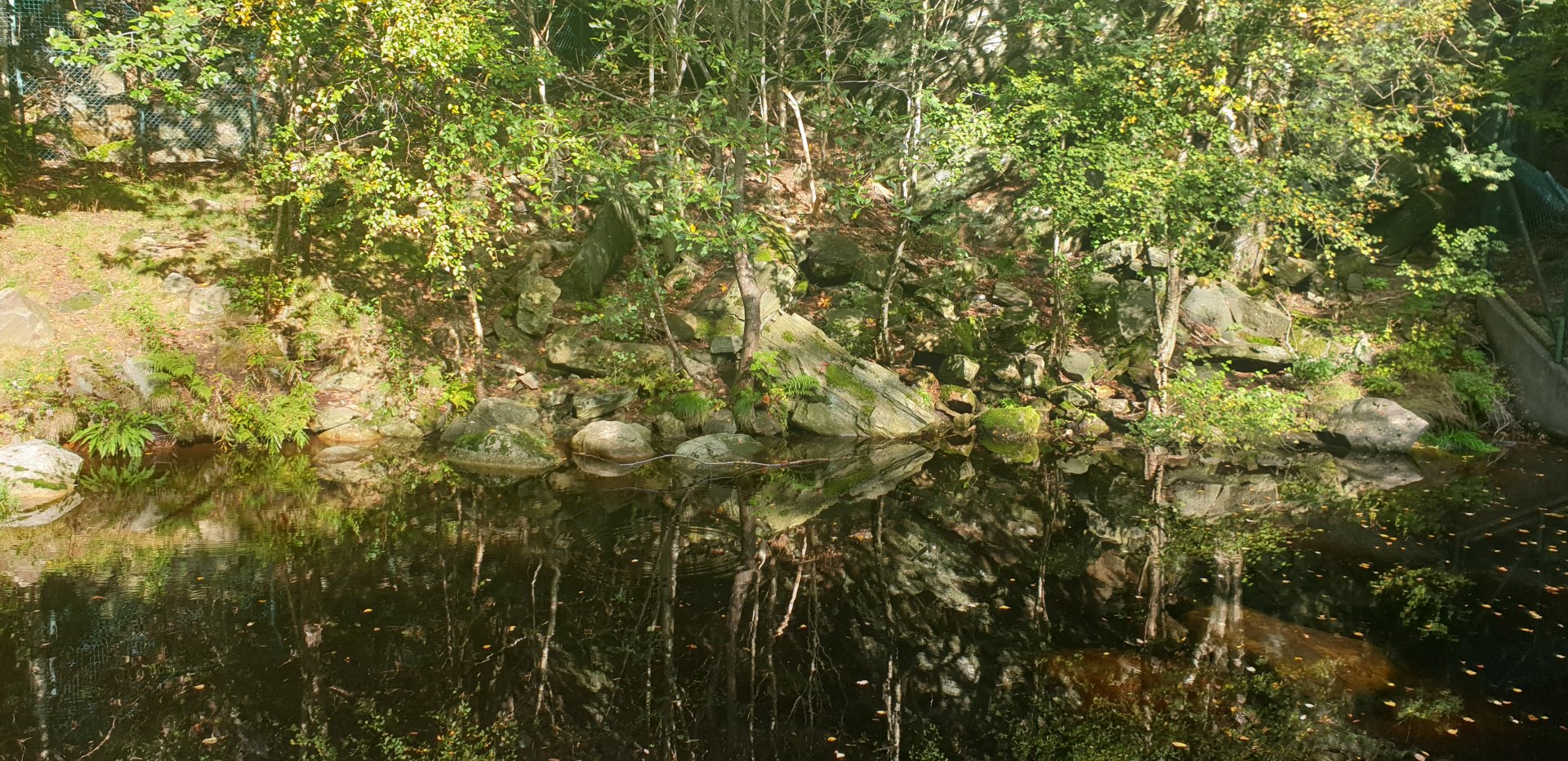 Eurasian Otter enclosure