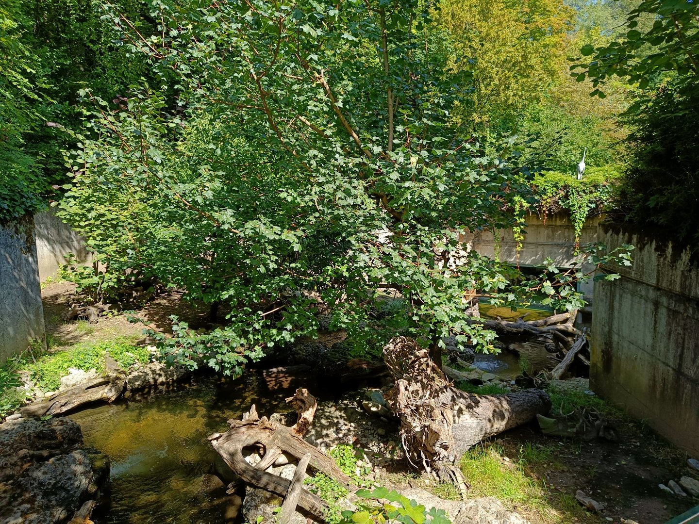 Eurasian Otter enclosure