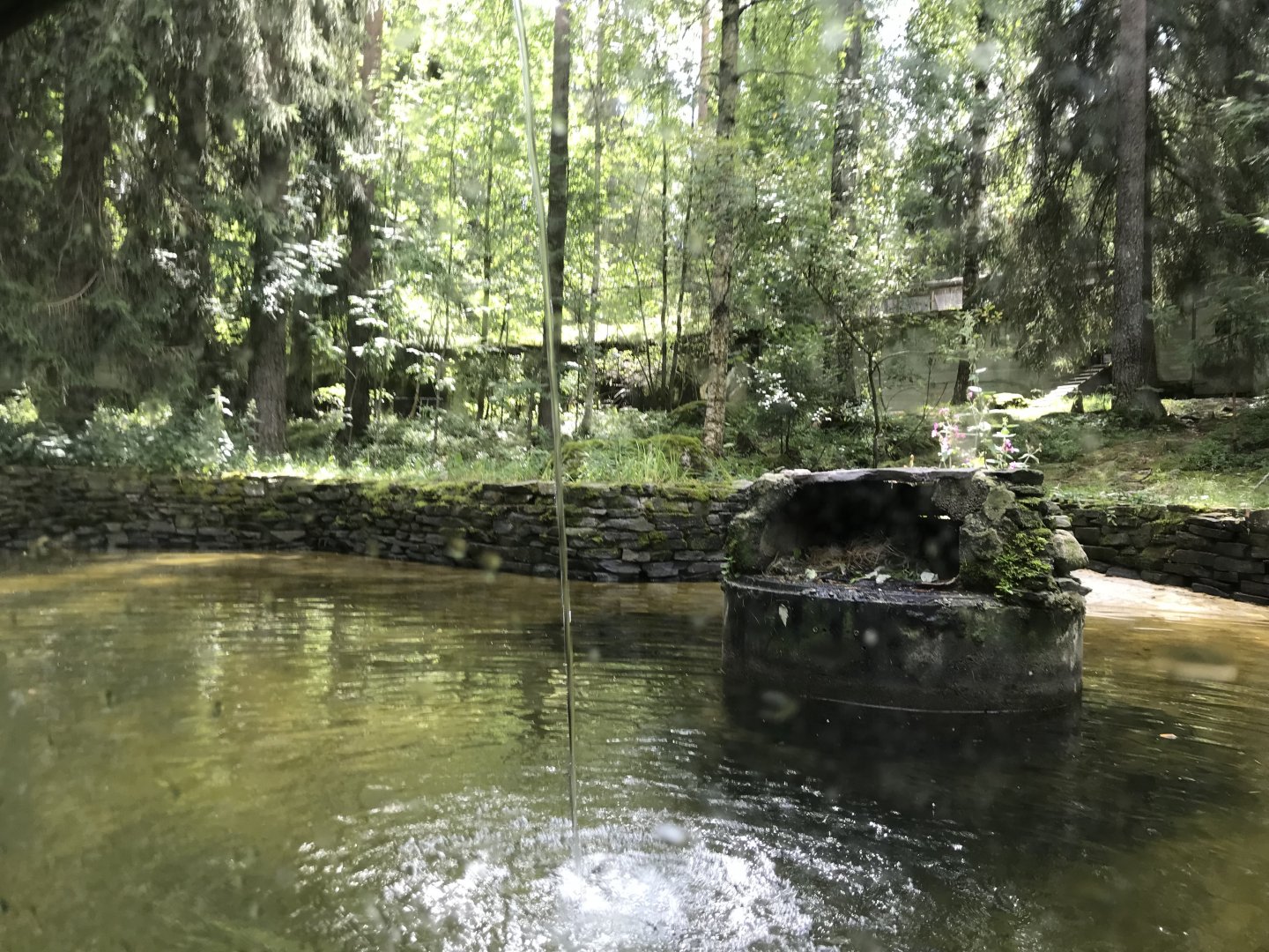 Eurasian otter enclosure