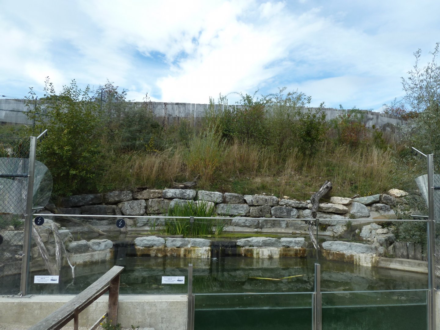 Eurasian otter enclosure