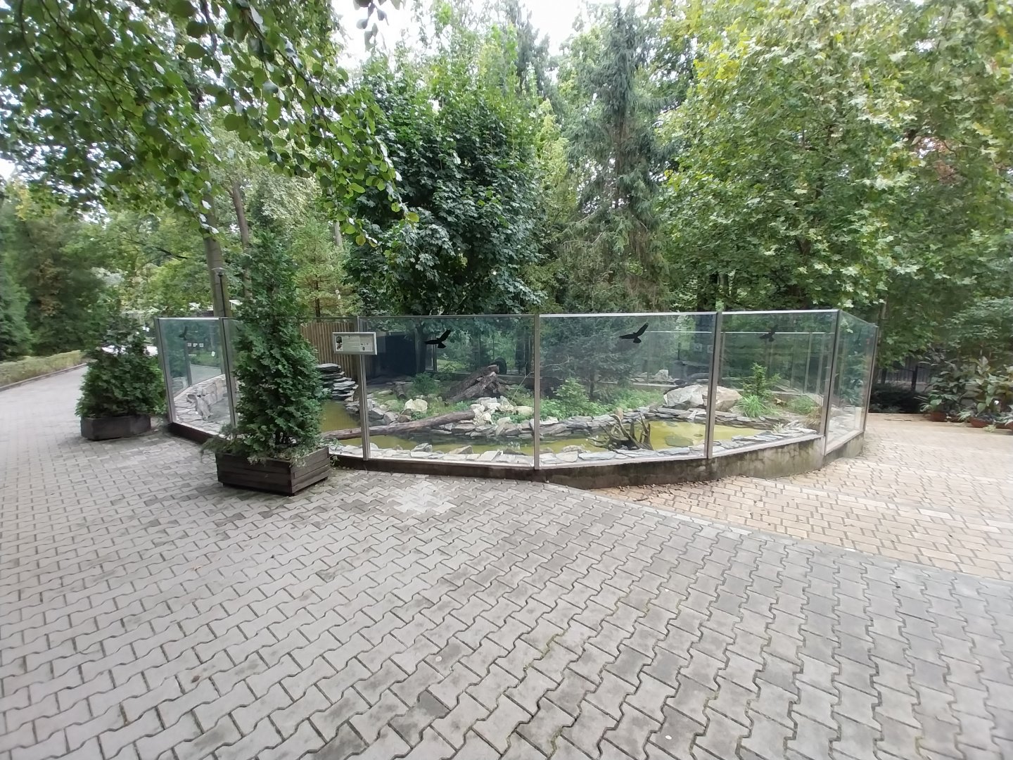 Eurasian otter enclosure