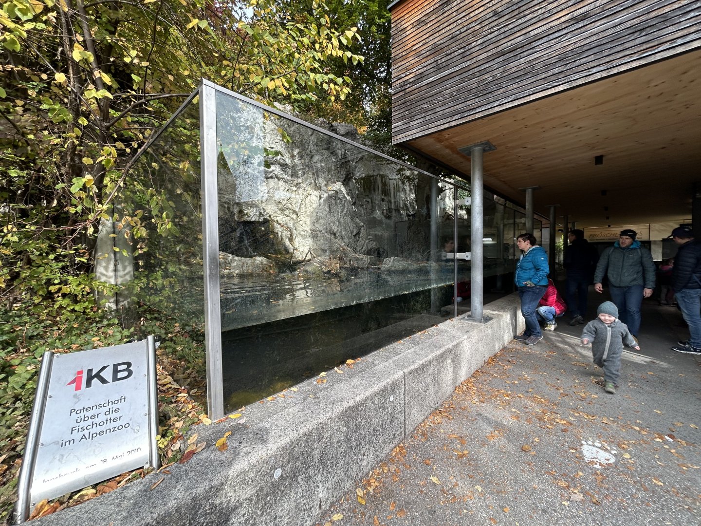 Eurasian Otter Exhibit #1