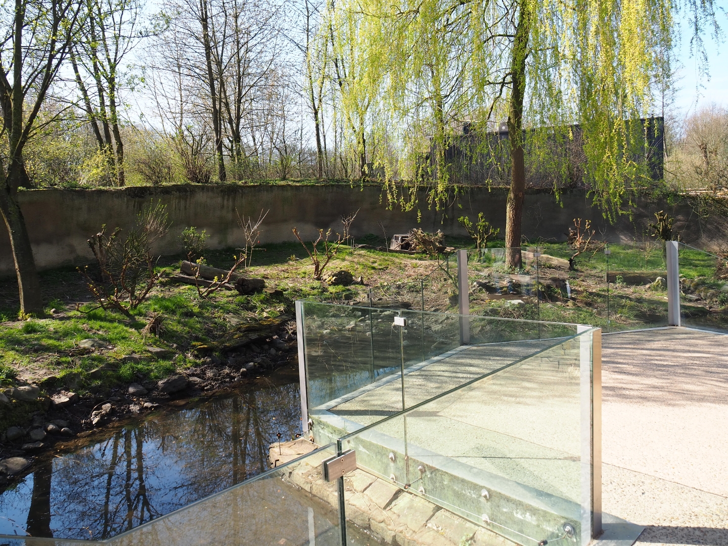 Eurasian otter exhibit, 2019-03-30