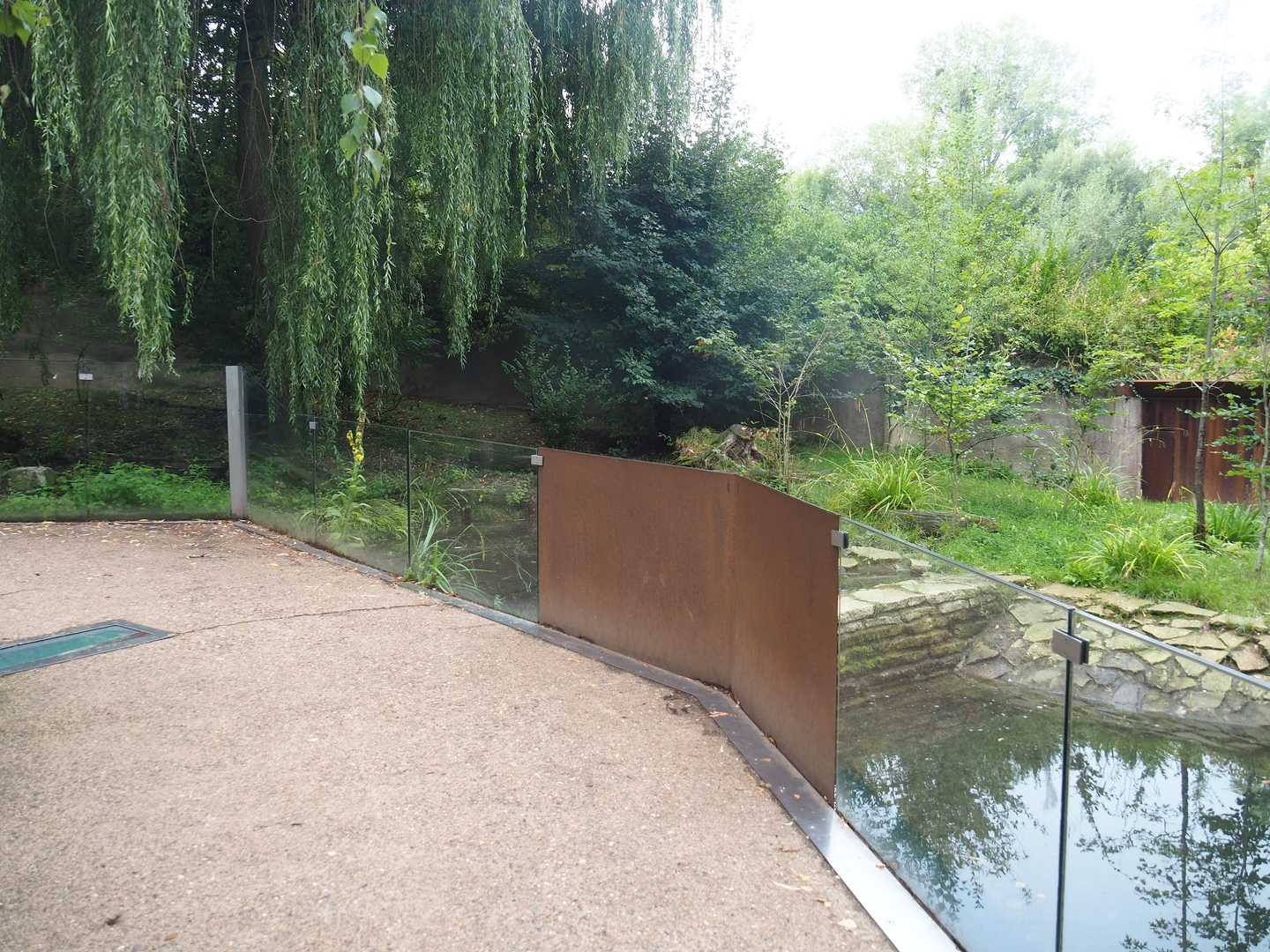 Eurasian otter exhibit, 2022-08-20