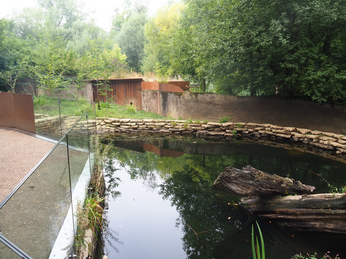 Eurasian otter exhibit, 2022-08-20