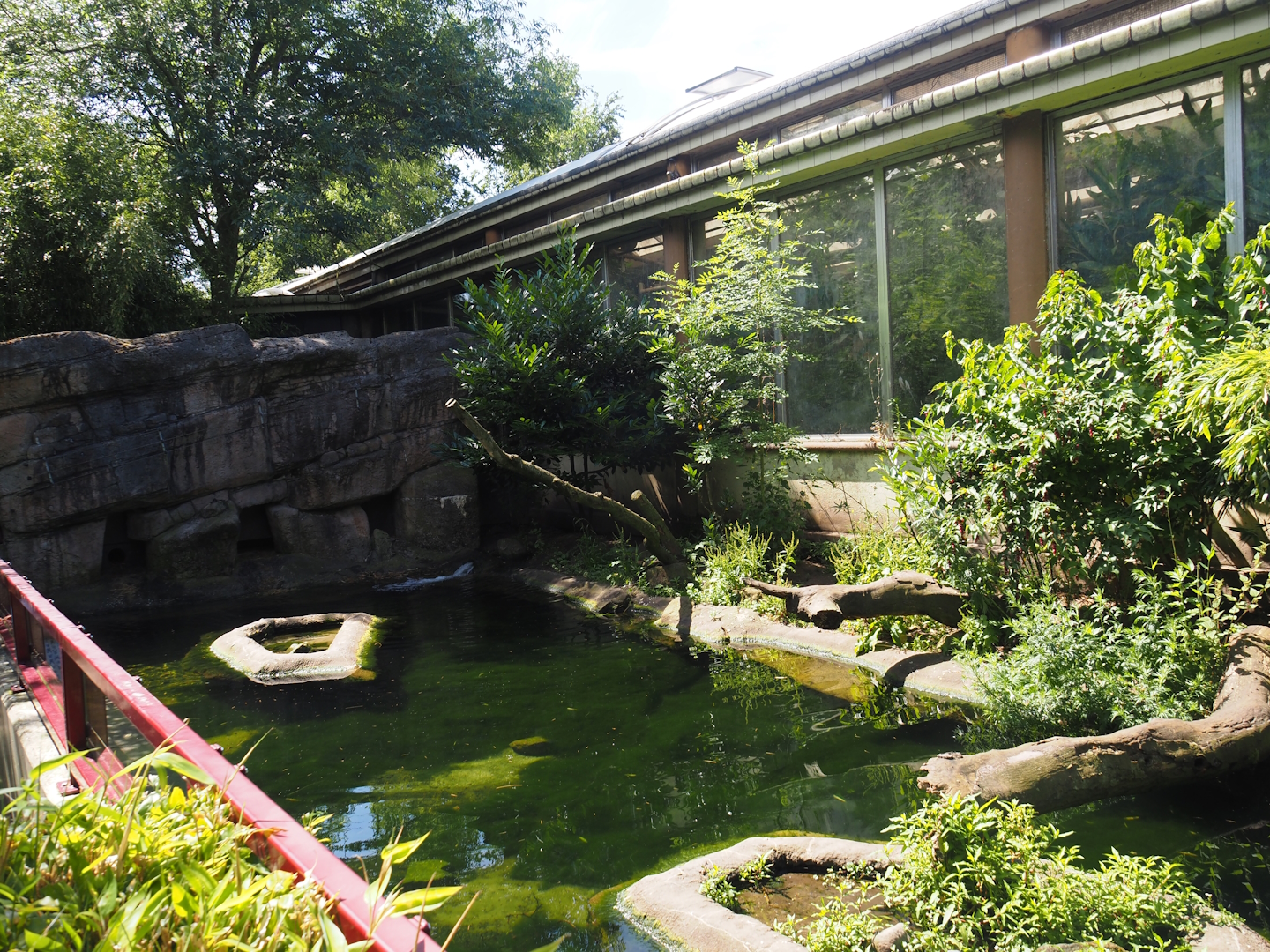 Eurasian otter exhibit, 2024-06-30