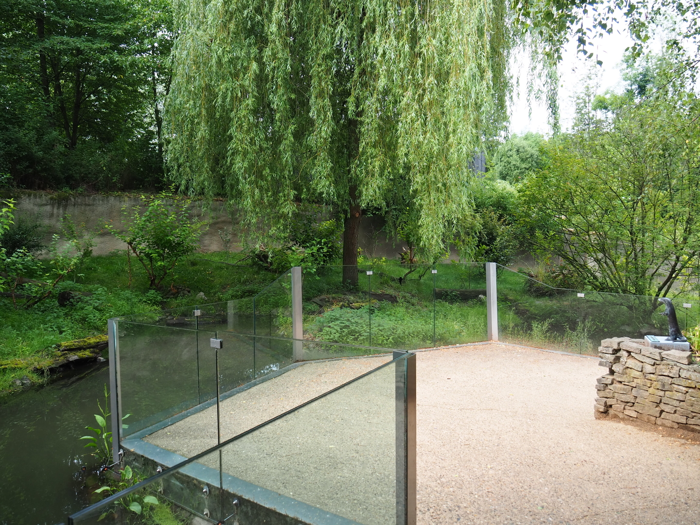 Eurasian otter exhibit and viewing area, 2019-07-21