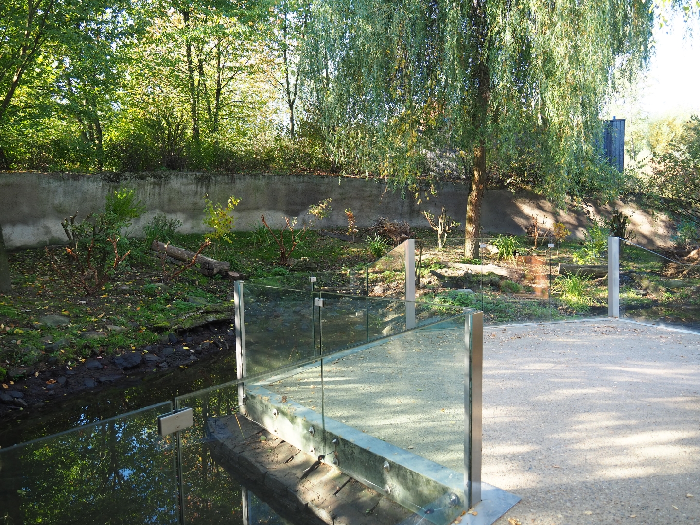 Eurasian otter exhibit and viewing area (Oct 13th, 2018)