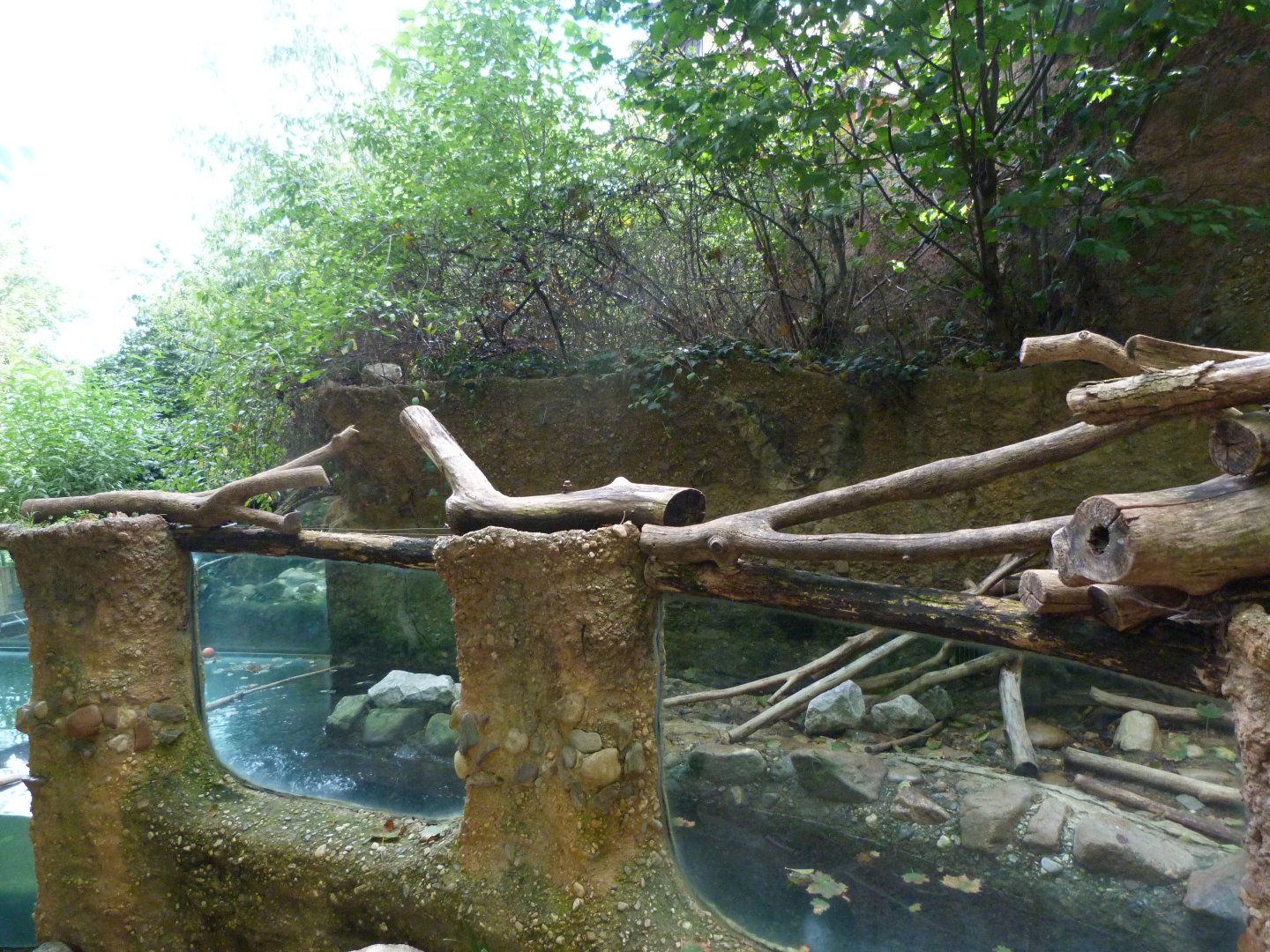 Eurasian otter exhibit -Zoo Plzeň (2025)