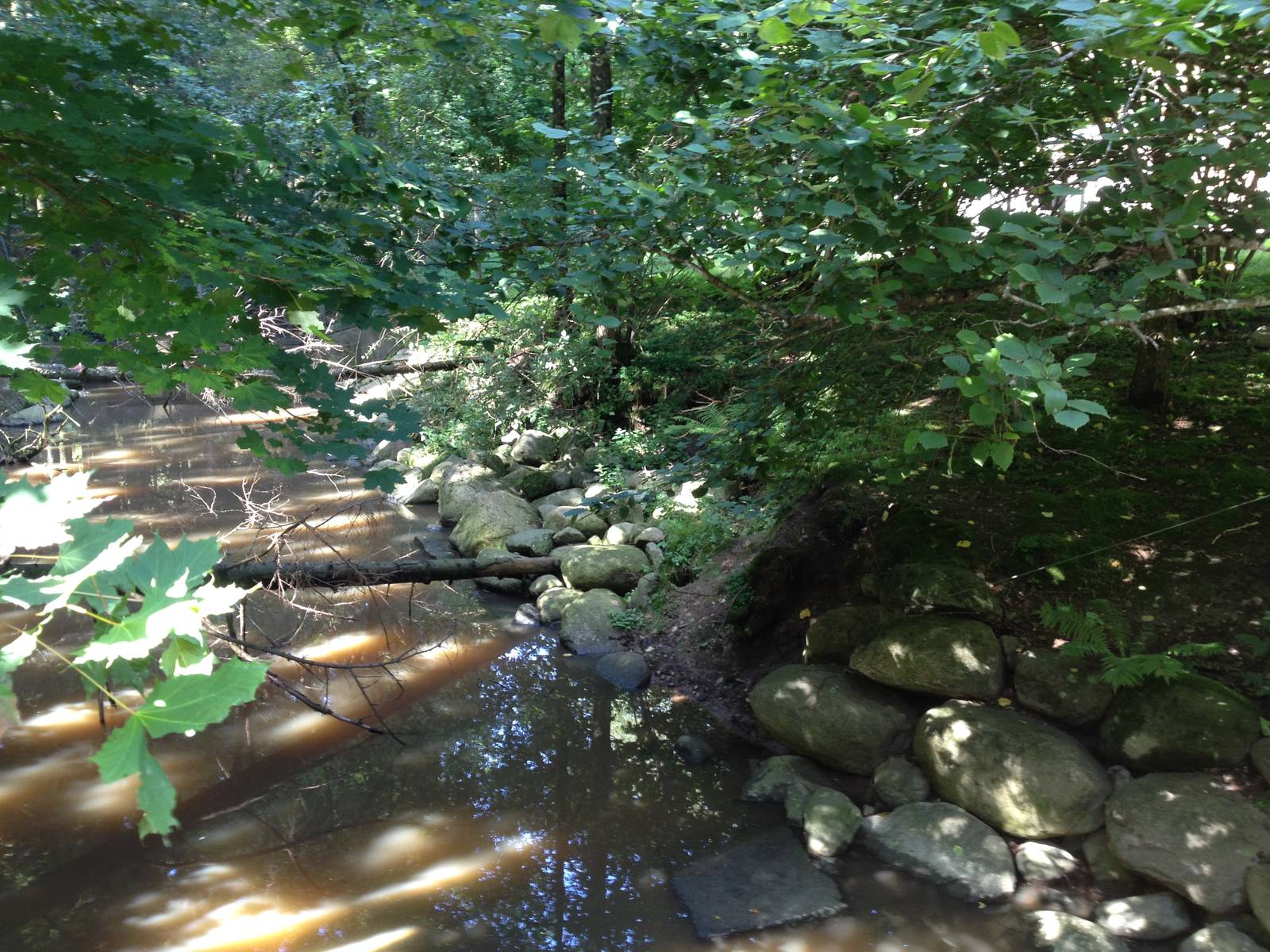 Eurasian otter exhibit