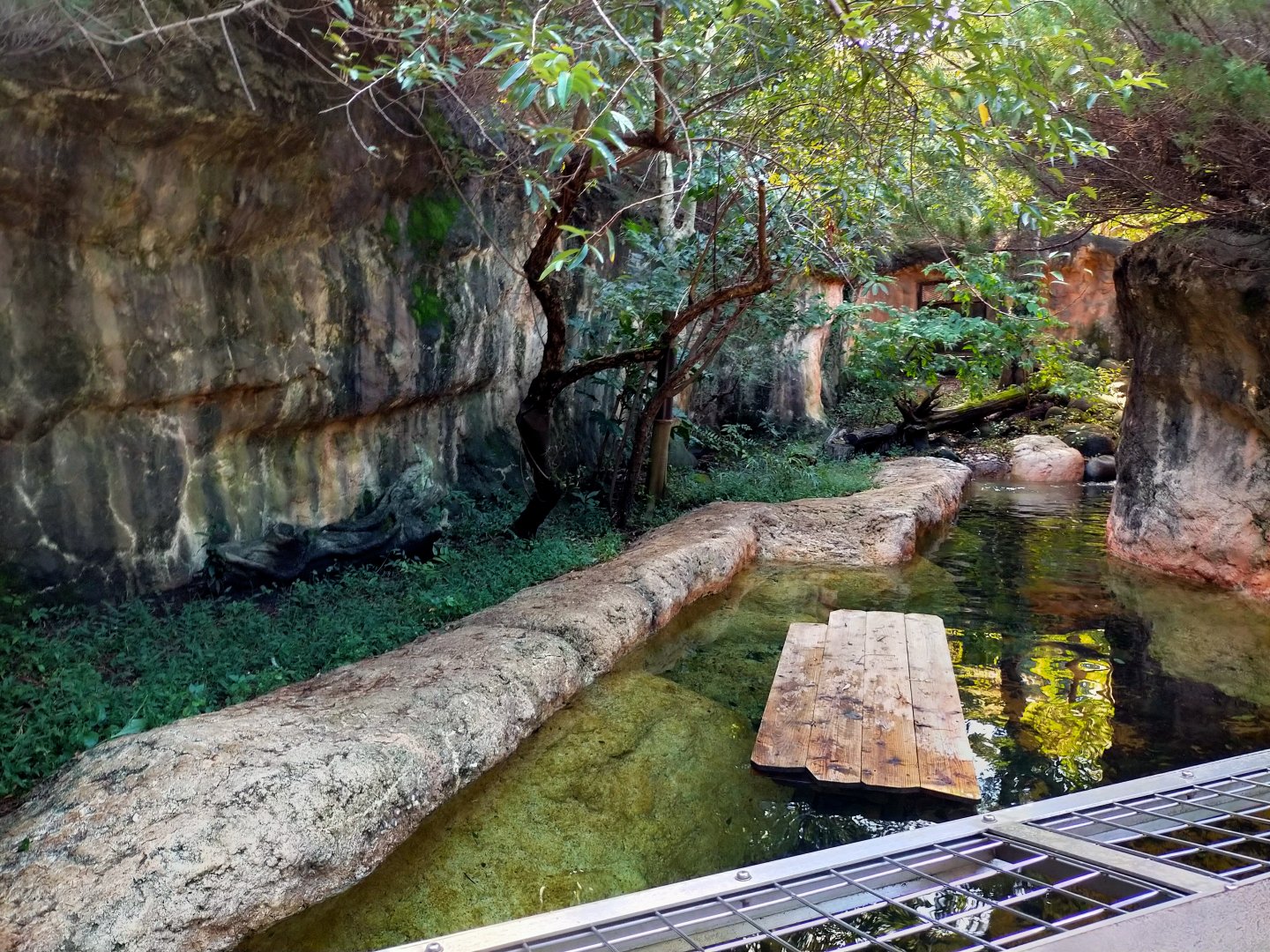 Eurasian otter exhibit
