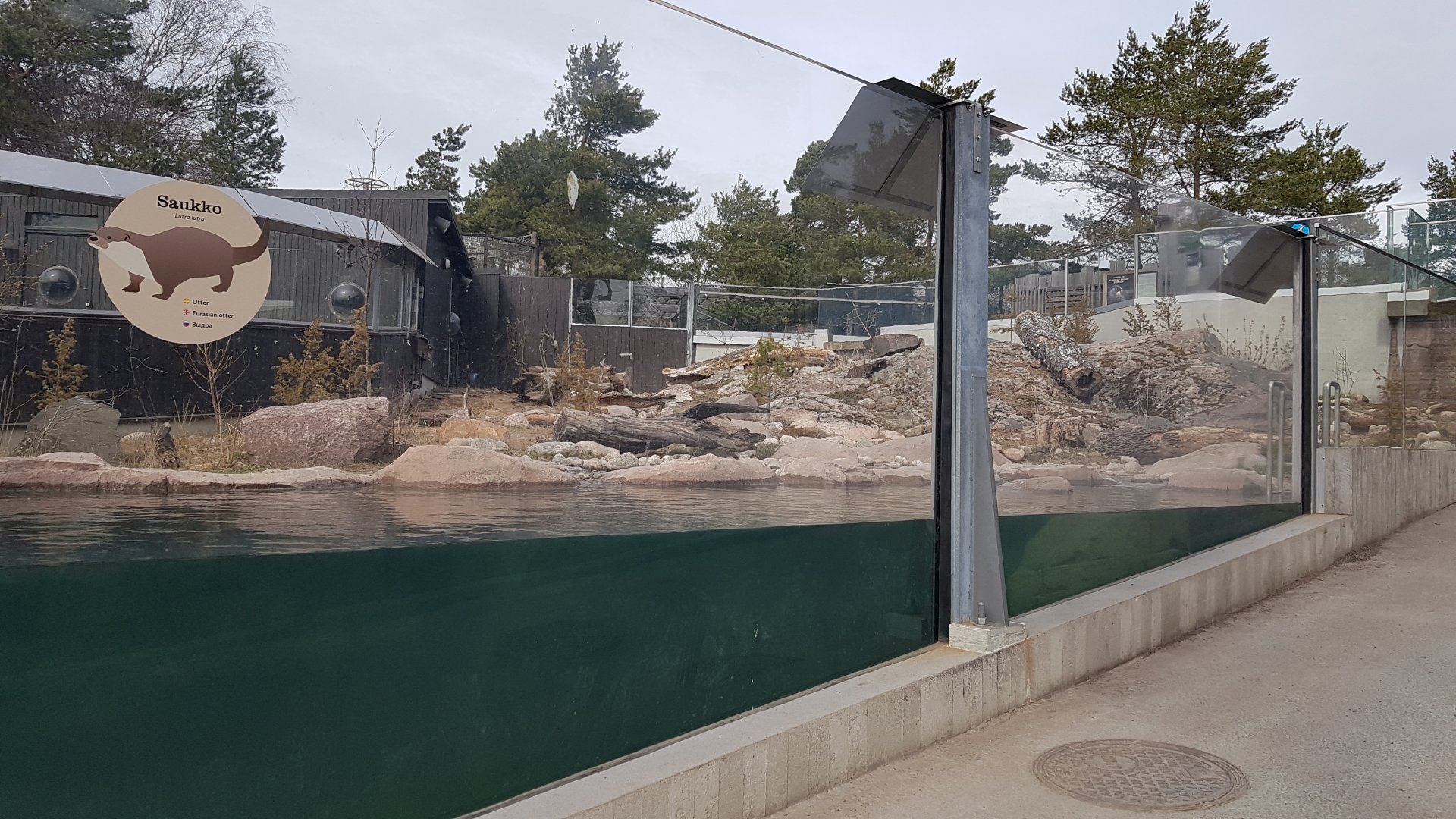 Eurasian otter exhibit