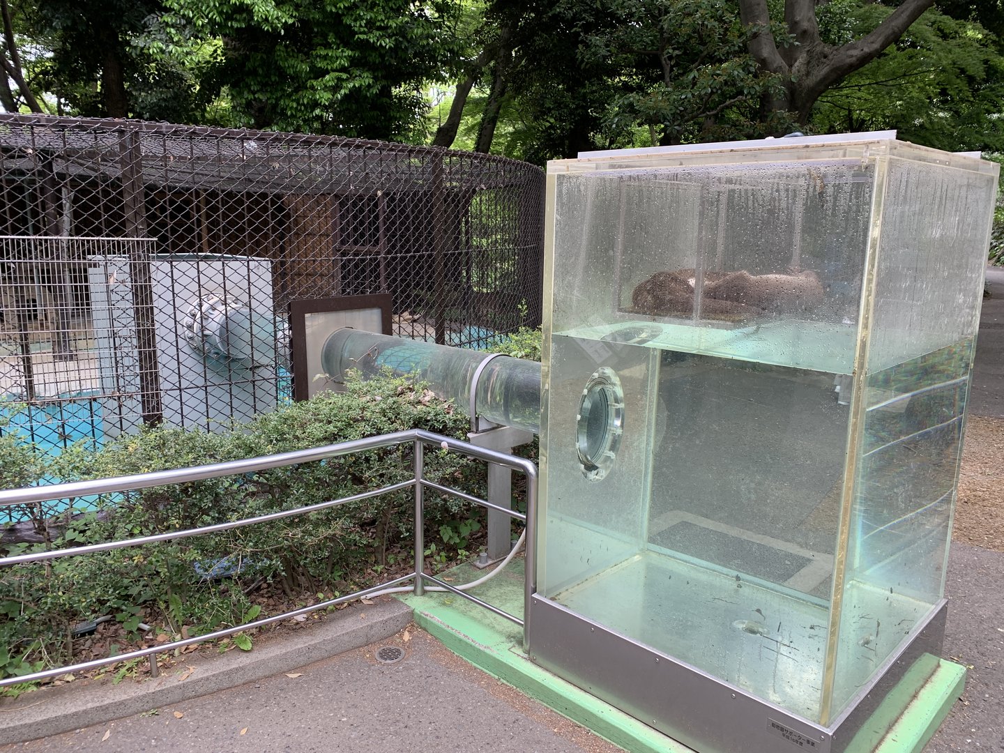 Eurasian Otter Exhibit