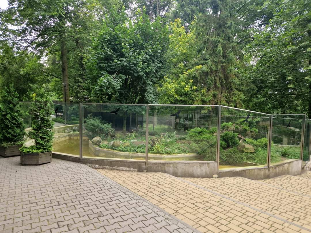 Eurasian Otter Exhibit