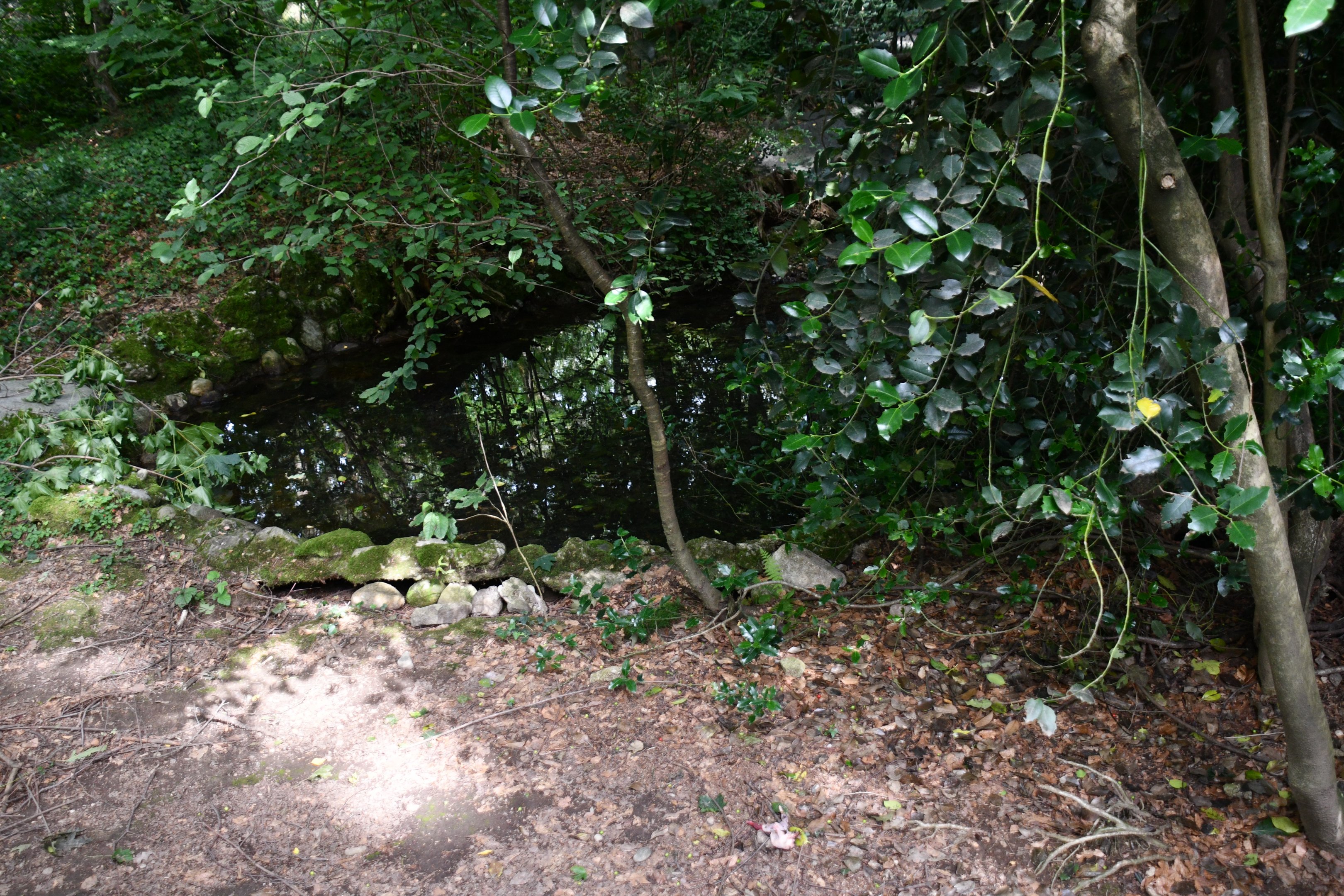 Eurasian Otter exhibit