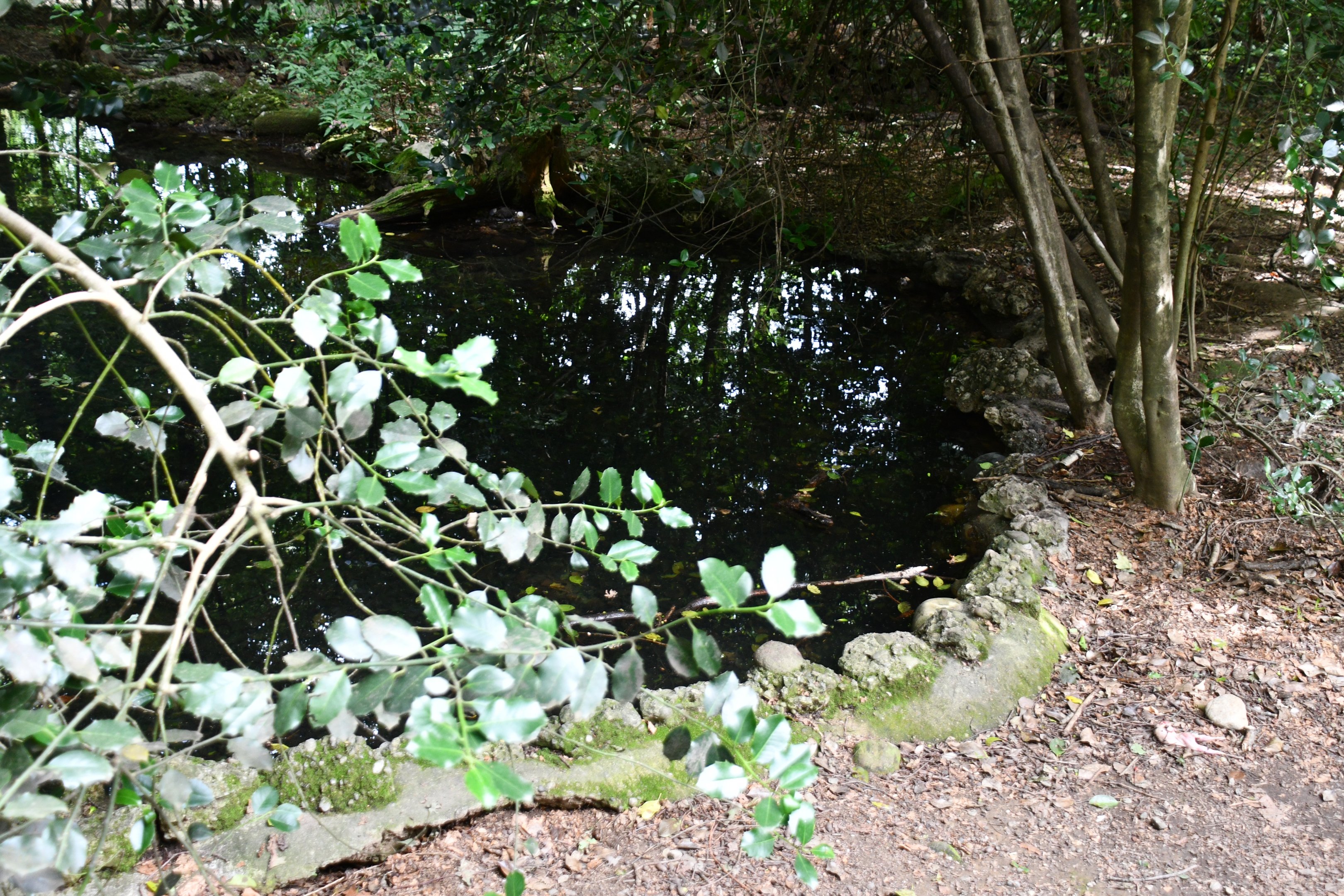 Eurasian Otter exhibit