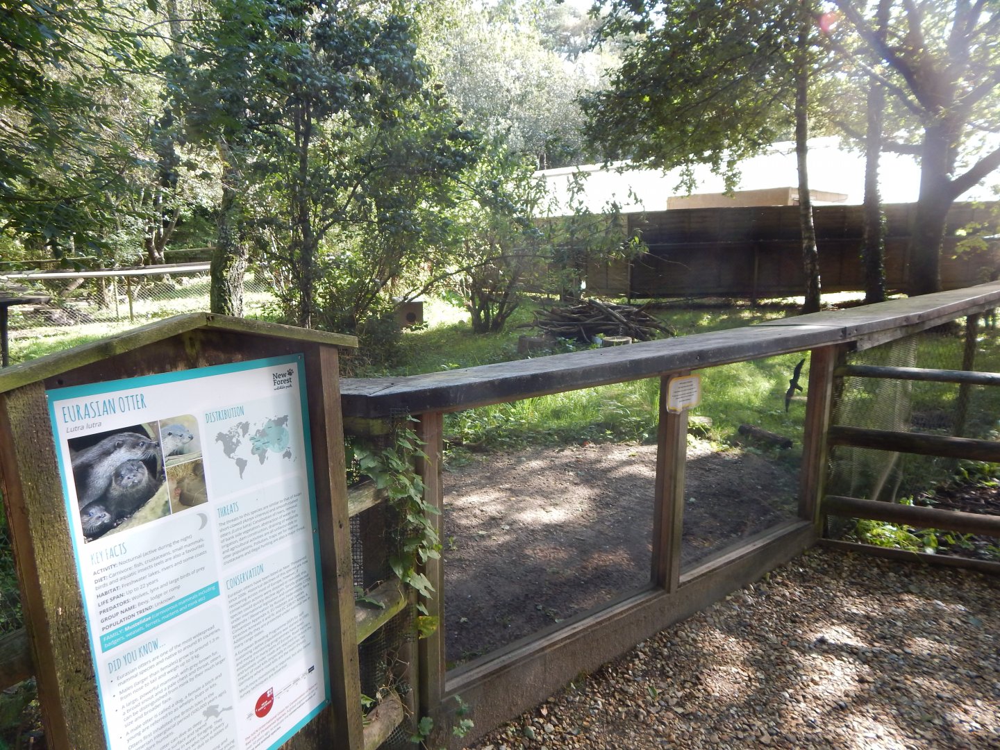 Eurasian otter habitat 130924