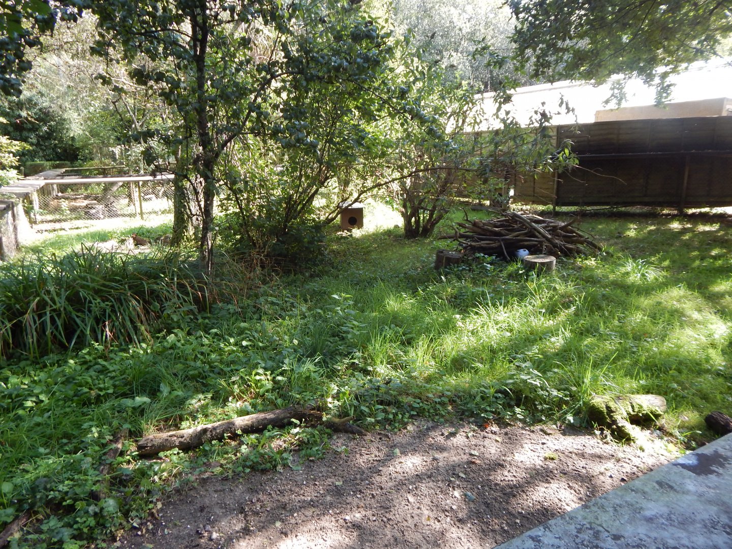 Eurasian otter habitat 130924