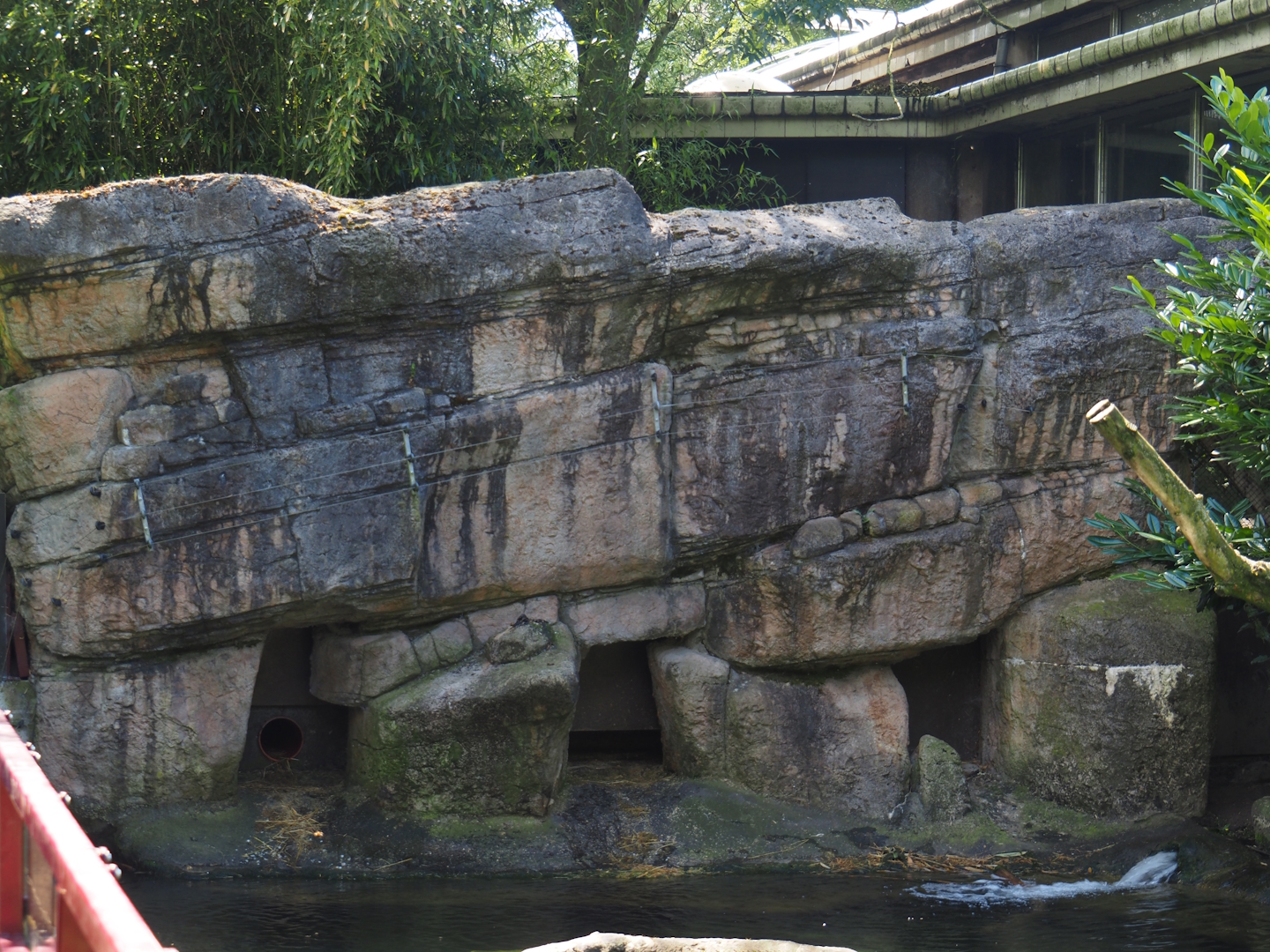 Eurasian otter house, 2024-06-30