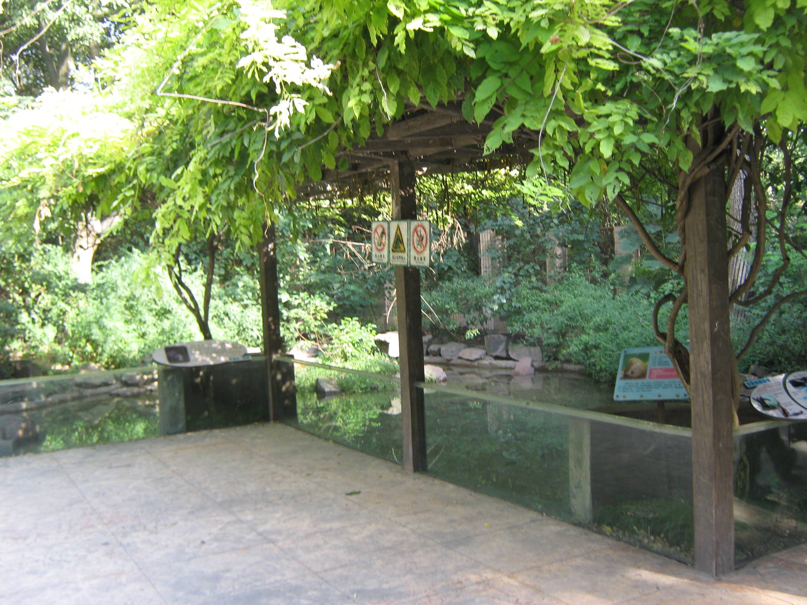 Eurasian otter (Lutra lutra) enclosure