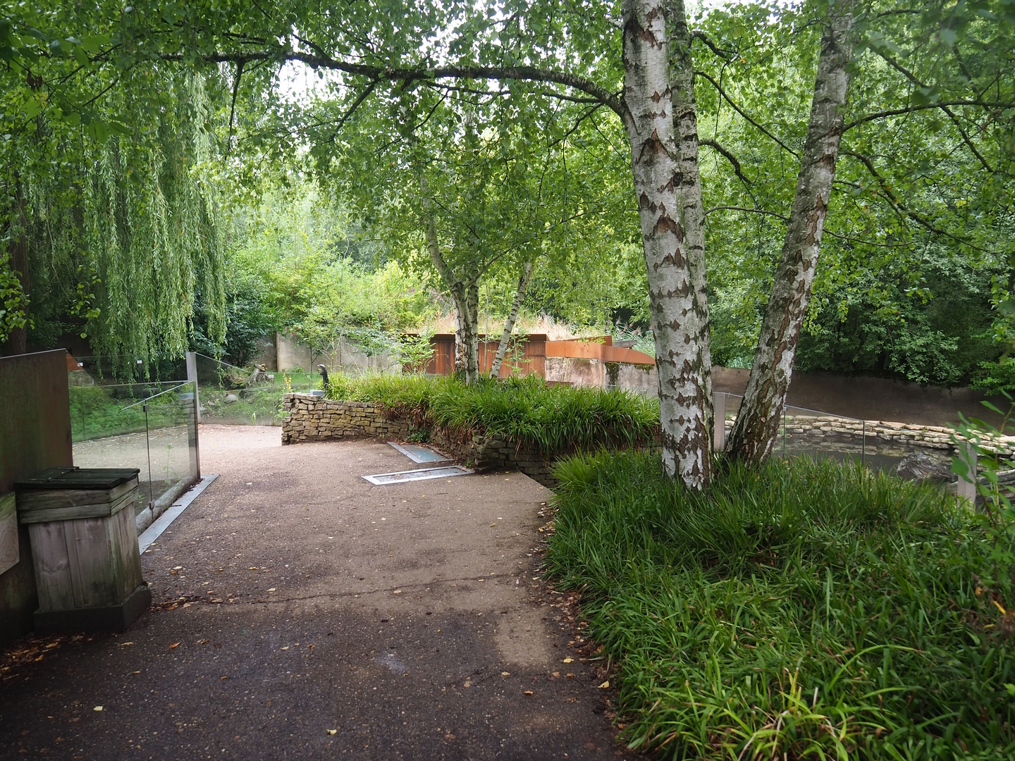 Eurasian otter viewing area, 2022-08-20