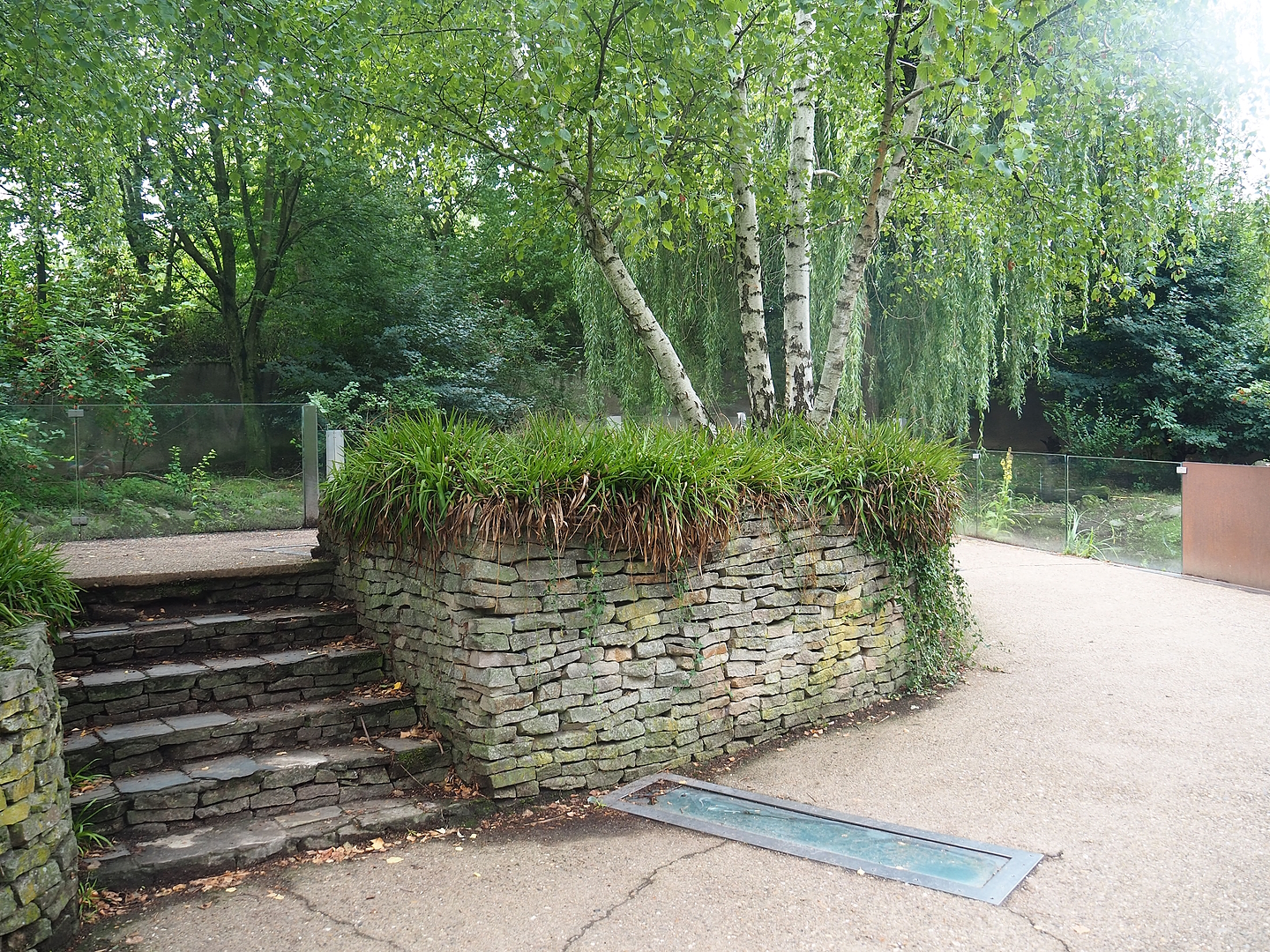 Eurasian otter viewing area, 2022-08-20