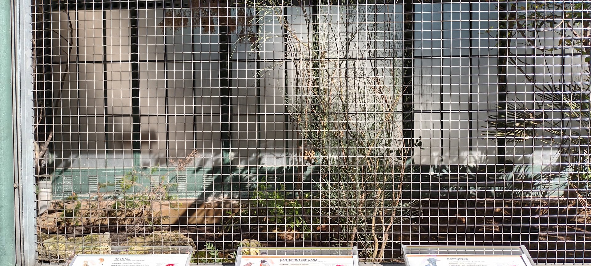 Eurasian Pheasantary Aviary