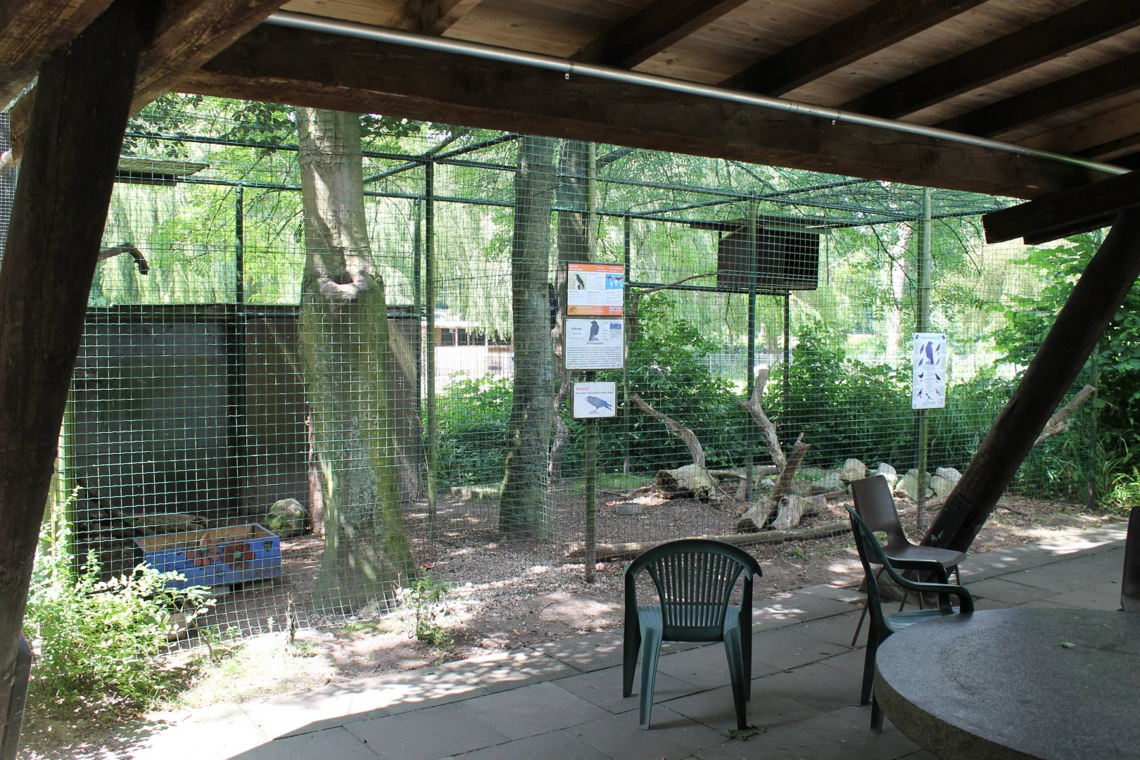 Eurasian raven aviary