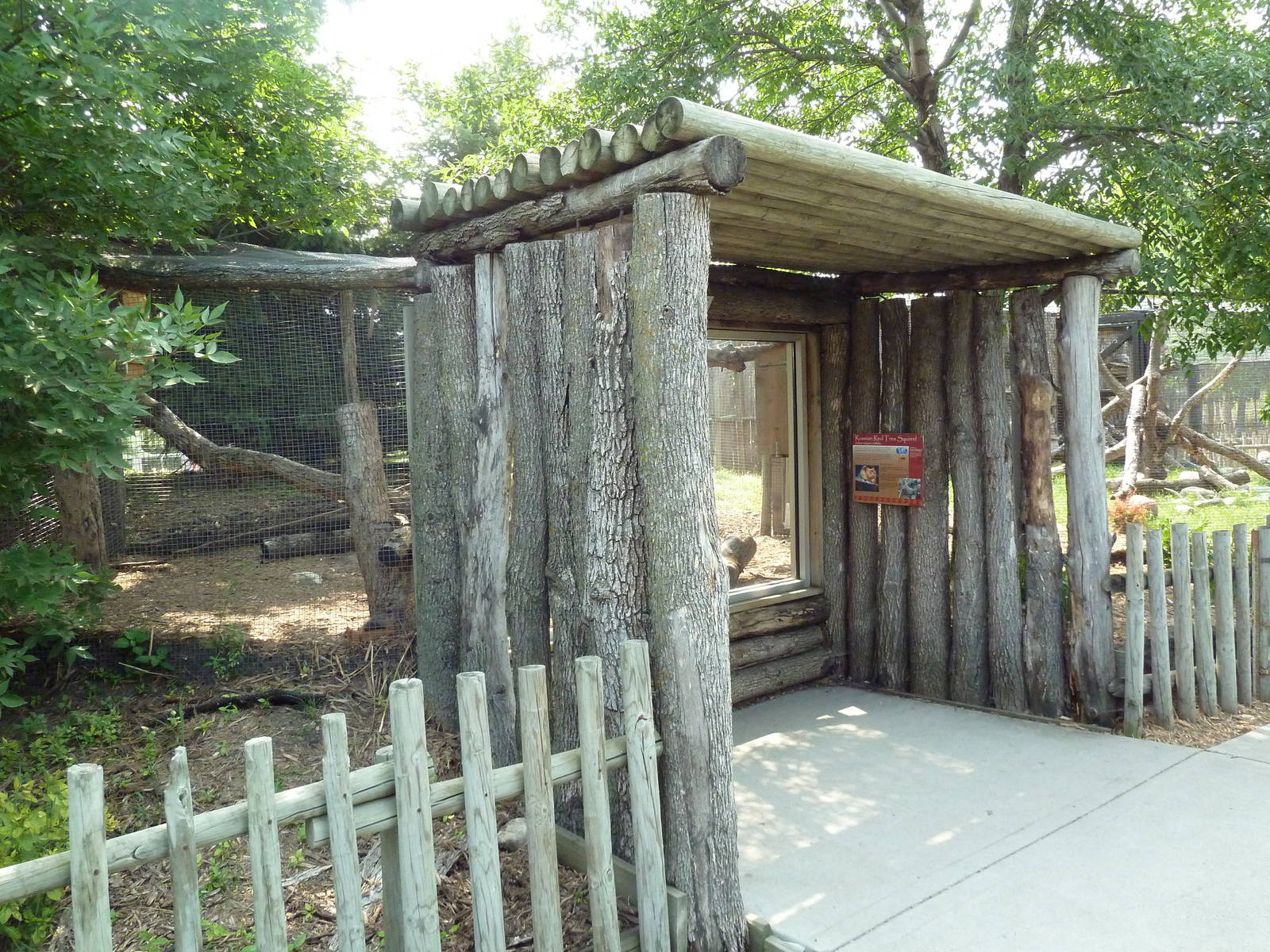 Eurasian Red Squirrel Exhibit