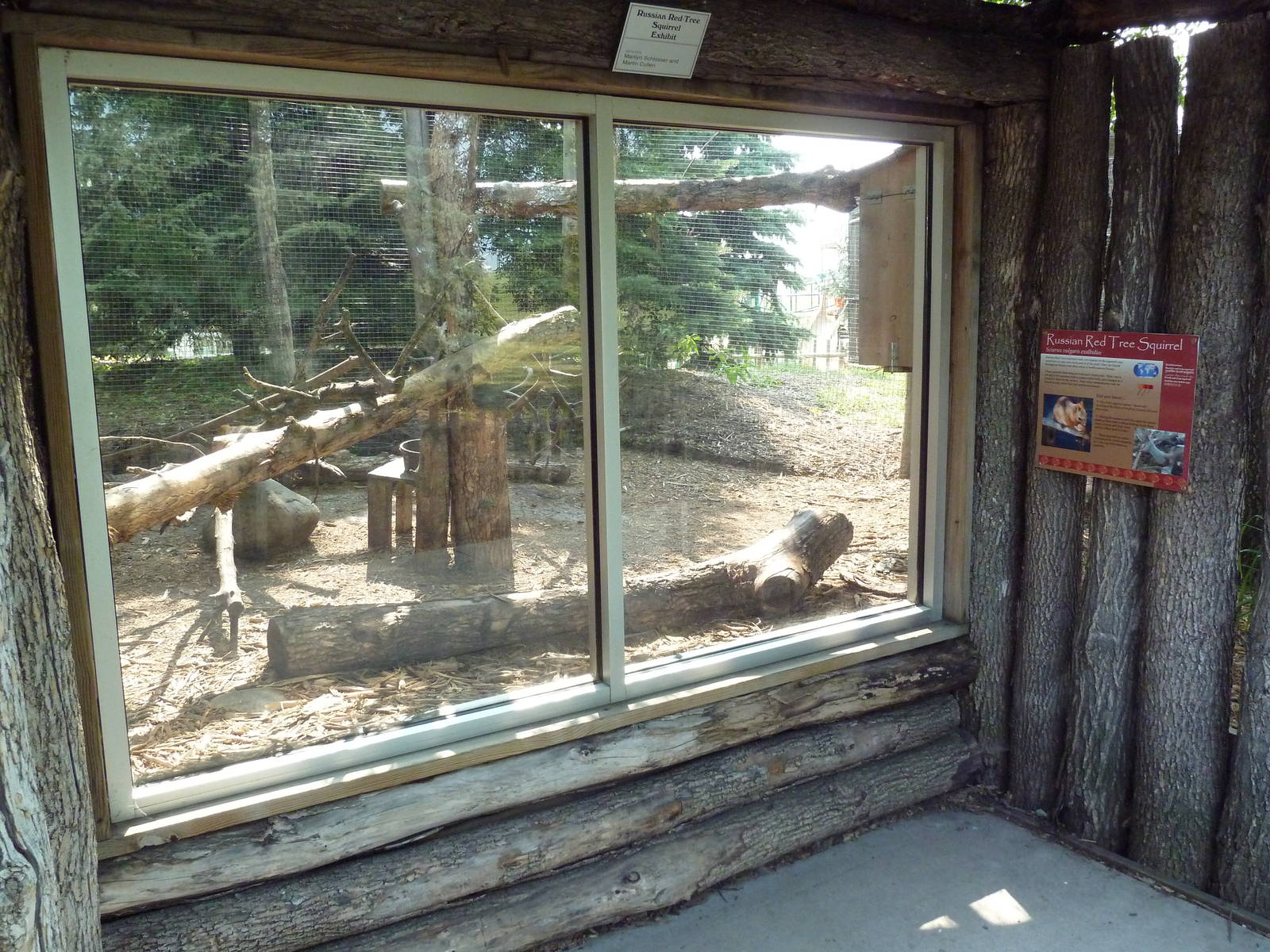 Eurasian Red Squirrel Exhibit