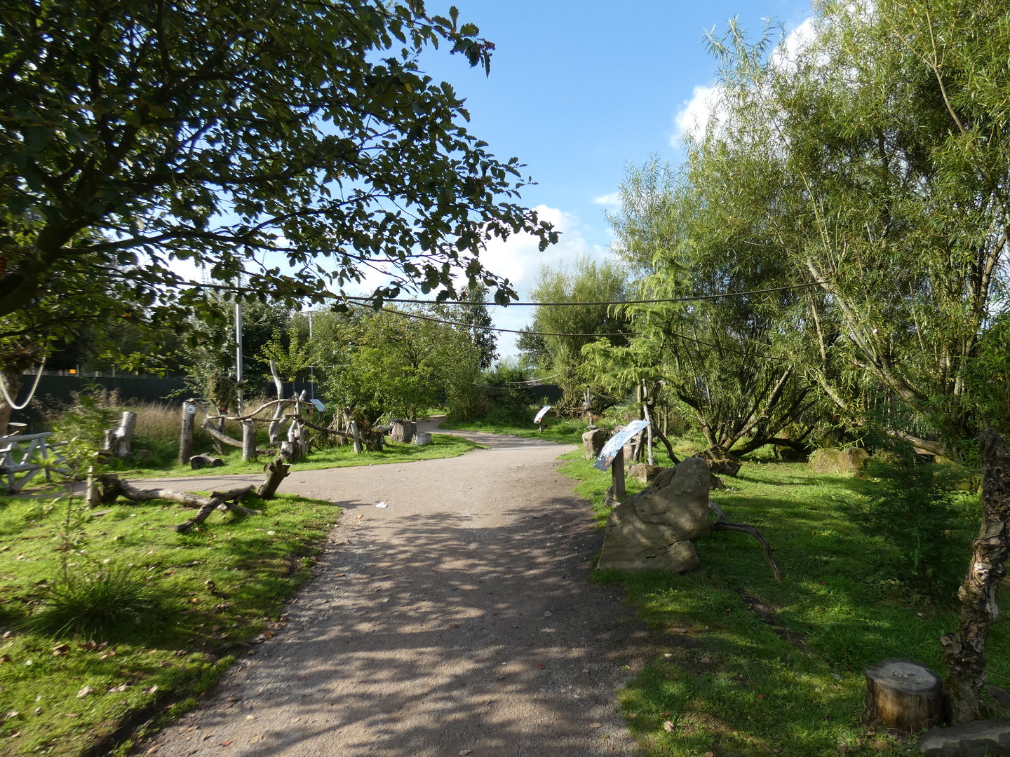 Eurasian red squirrel walk-through