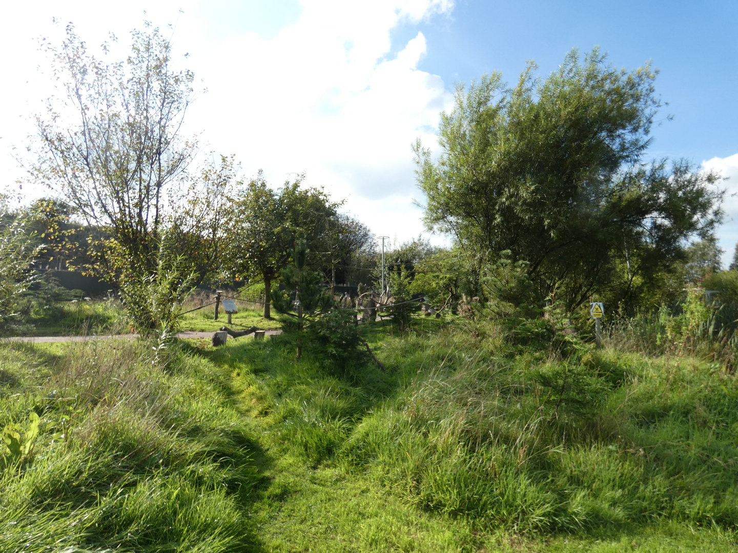 Eurasian red squirrel walk-through