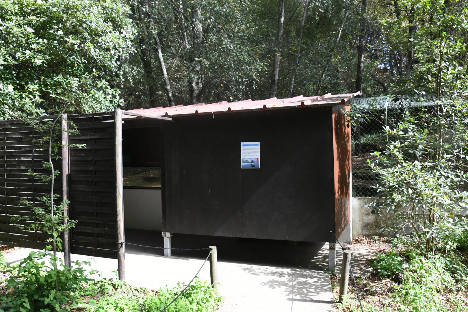 Eurasian River Otters viewing area