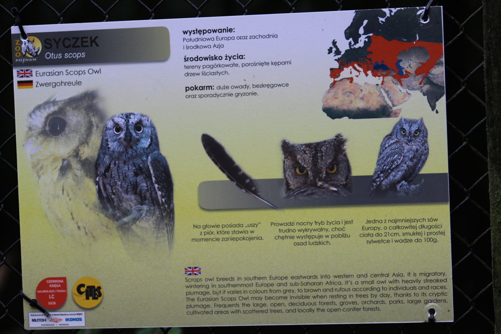 Eurasian Scops Owl Signage