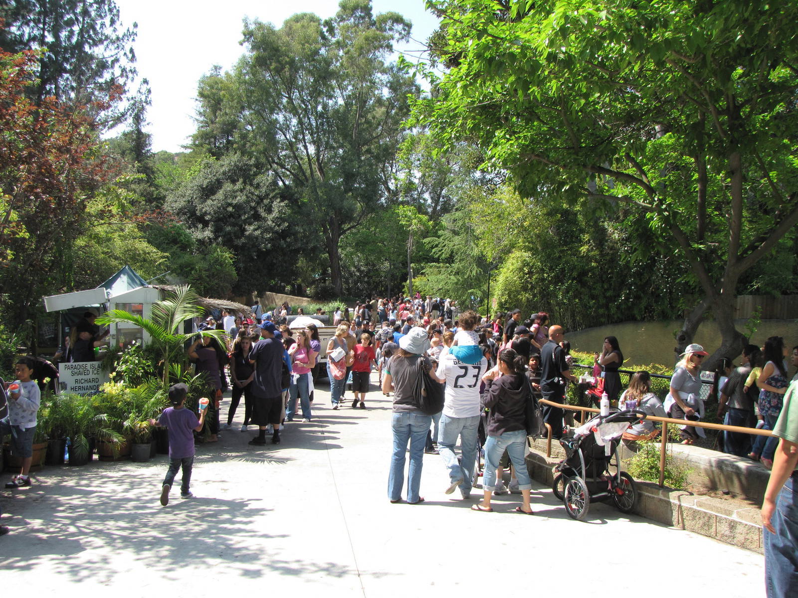 Eurasian Section Crowd