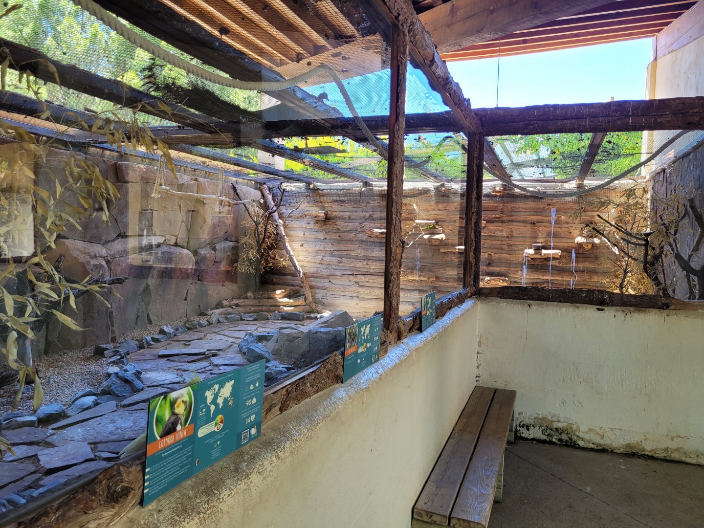 Eurasian thick-knee, Cockatiel, Rainbow lorikeet and Jandaya conure exhibit -Sendaviva (2024)