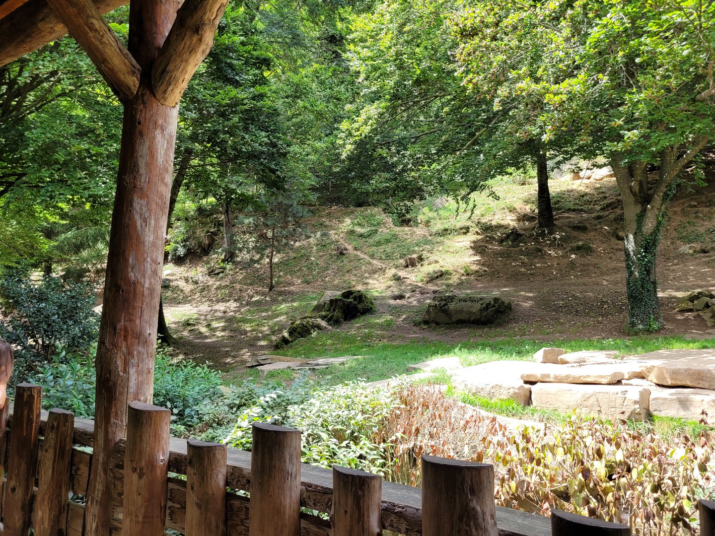 Eurasian wolf exhibit -Parc Animalier des Pyrénées (2023)