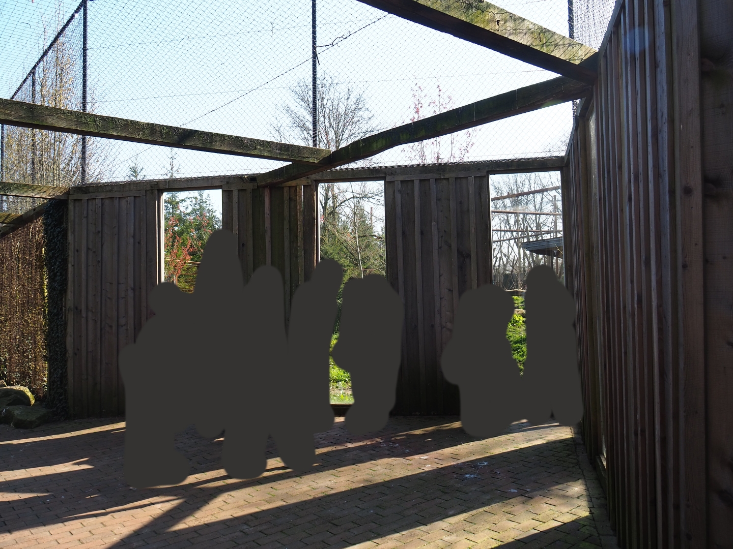 Eurasian wolf exhibit viewing area underneath the Eurasian eagle owl - Raven - Black stork aviary, 2019-03-30