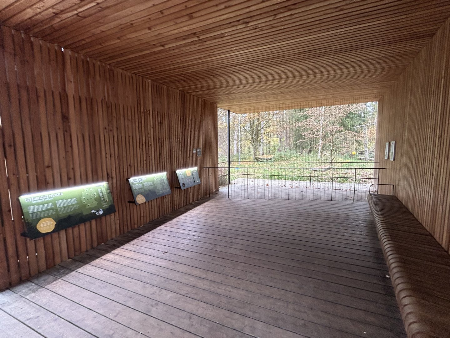 Eurasian Wolf Exhibit