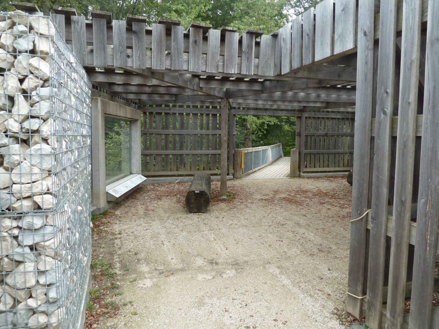 Eurasian wolf & lynx viewing points