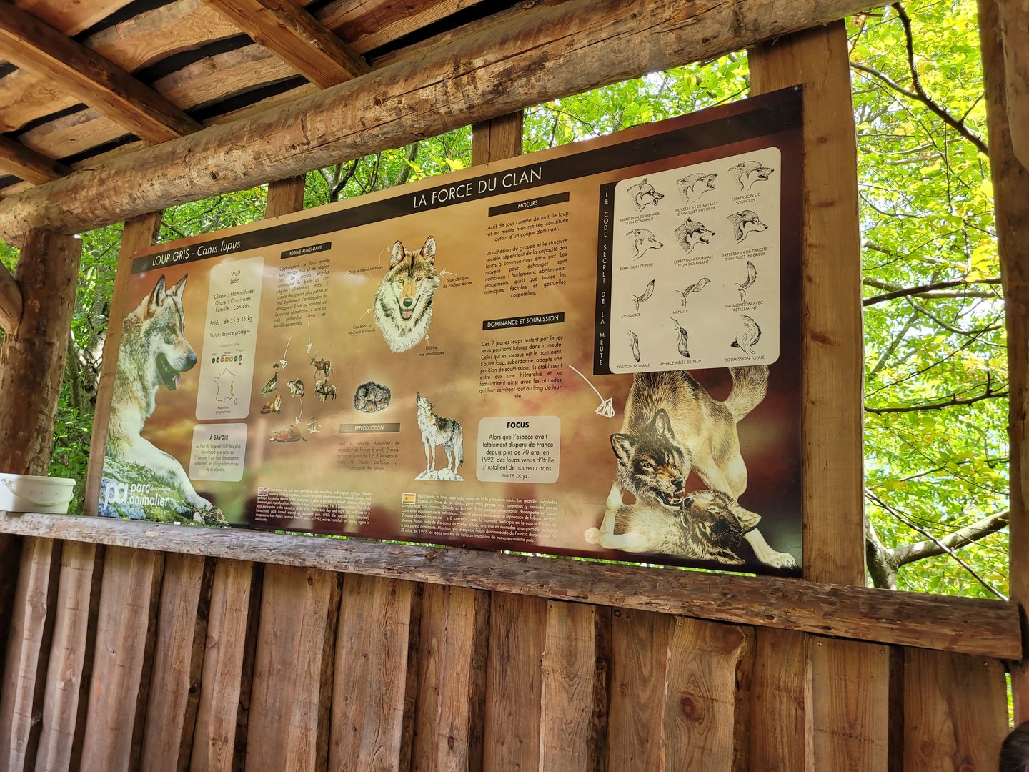 Eurasian wolf sign -Parc Animalier des Pyrénées (2023)