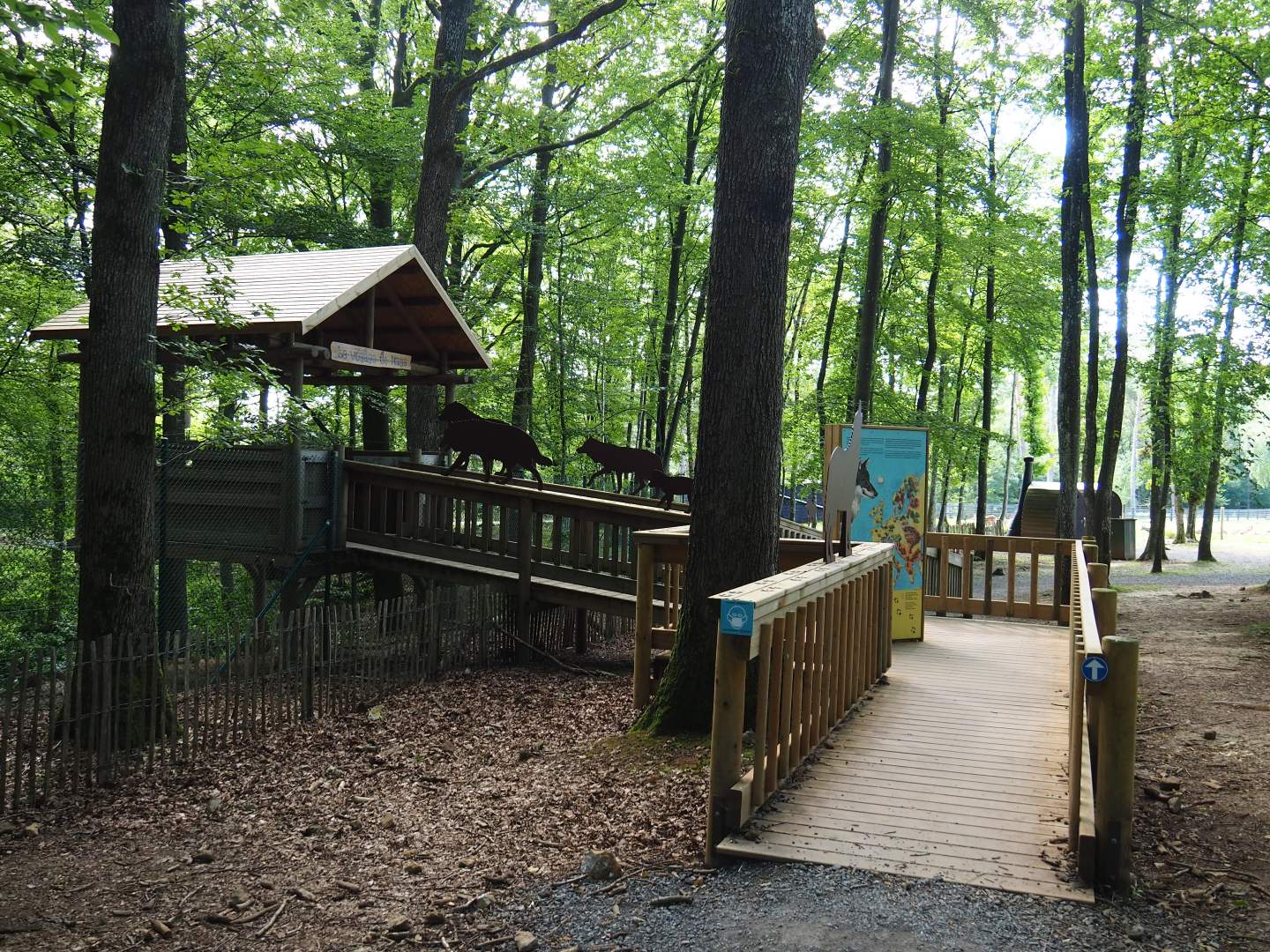 Eurasian wolf viewing area, 2021-08-15
