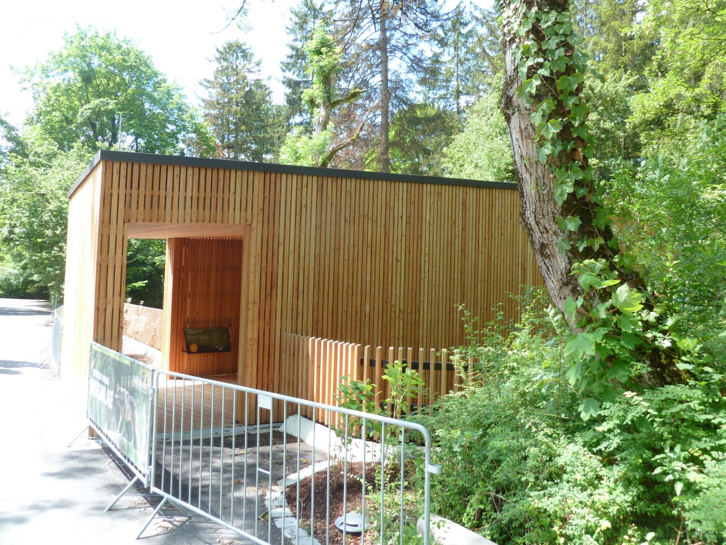 Eurasian wolf viewing/information point