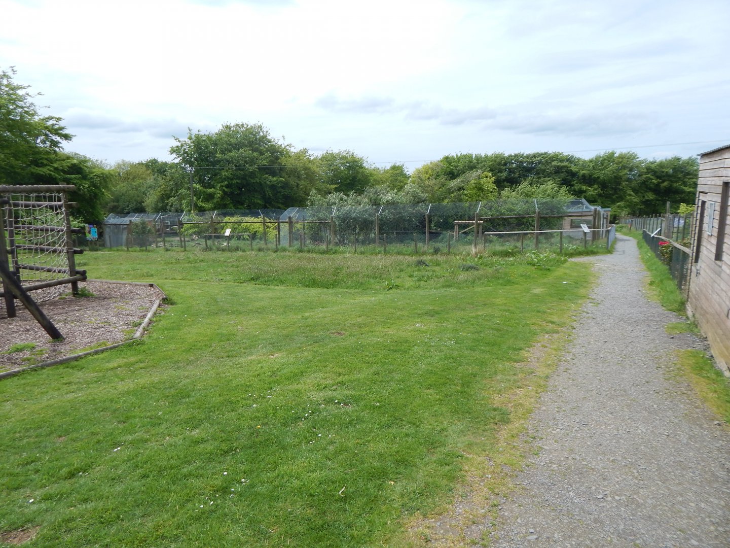 Eurasian wolverine enclosure 150522